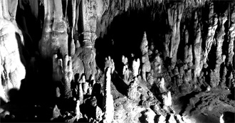 2010s: 250 Movies to See With Your Eye