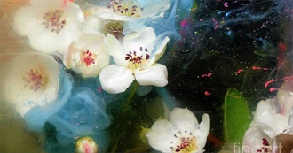 Plan to Watch (Continue Update)