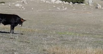 Bookpilled&#39;s Every Book Read in 2023 Ranked From Worst to Best