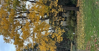 November 2025 Reading