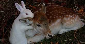 Sloane&#39;s Syllabus