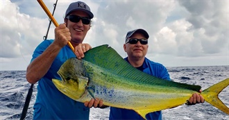 50+ Tasty Fish and Seafood to Try Before You DIE