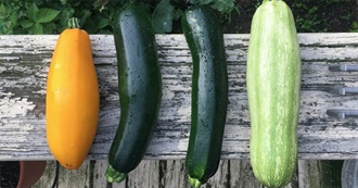 Low Calorie Foods From A to Z