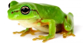 Fictional Frog/Toads