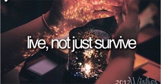 Things Amelia Done and Experienced in 2024