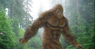 U.S. States With the Most Bigfoot Sightings (Ranked)