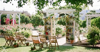 Novels That Involve Weddings