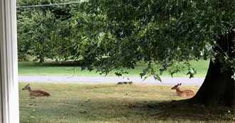 Mostly Classic Mysteries That Jolynn Rated 5 Stars