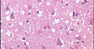 How Many Diseases Have You Had/Or Have