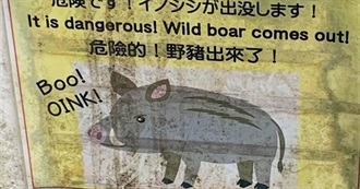 Iris Knows 100 Movies? Iris Likes 100 Movies??