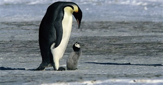 100 2000s G-Rated Movies