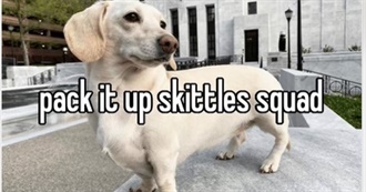 Little Baby Hasnt Seen Movies