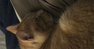 Rhys&#39; Books &lt;3