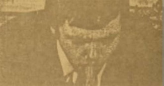 Movies Liked Most in August 2023