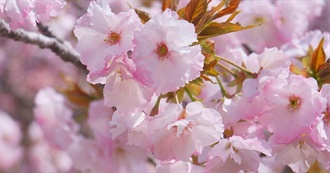 Beth&#39;s Books - Now With a Unique List Name!