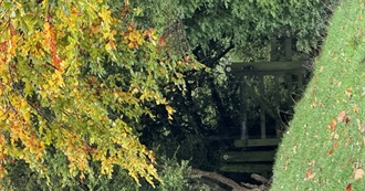 Werewolf Movies for Halloween