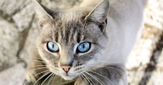 List of Jenn&#39;s Favorite Music and Food