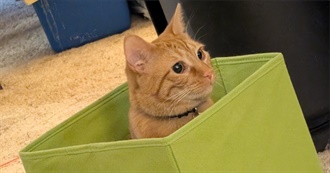 Aki&#39;s Video Games