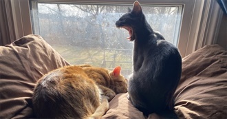 Grotesquehorse 28 Worst Books