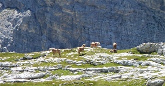 Countries That Stassia Has Visited in Europe.