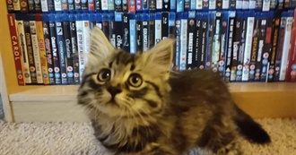 Everything Roy Watched April 2023