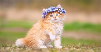 Ladycalico&#39;s 10 Years of April Reading