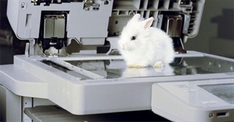 MSD&#39;s Last 100 Books Written by Women