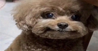 August&#39;s Favorite Movies ^-^