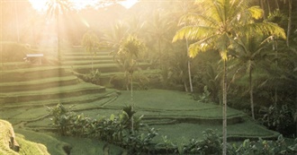 Books Set in Indonesia: Indonesian Novels