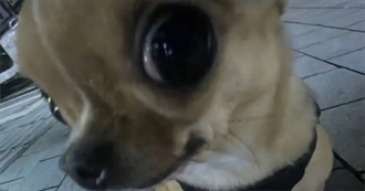 Gabby&#39;s 100 Faves