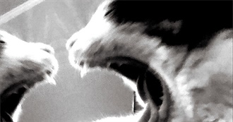 1786: Random Selection