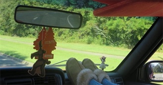 4 Favorite Movies of 30 Random People