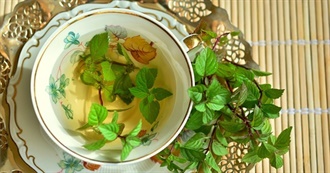 Most Popular Herbal Teas