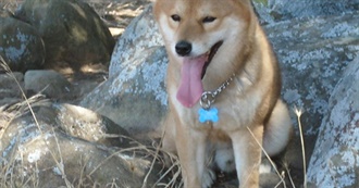 1001 American Books to Read Before You Die