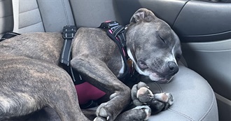 F4f&#39;s Top Books but Eye Can&#39;t Name 100