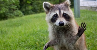 The Funny &amp; the Ridiculous