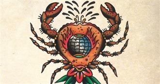 What Rock Bands Have You Seen in Concert?