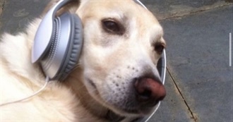 Kittys Fav Movies &lt;3