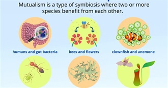 Ok  Just Let Me Title the Dang List