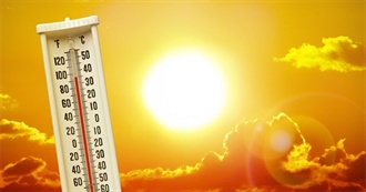 Foods for a Heat Wave