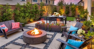 Ten Things Dodger Would Like in Her Backyard