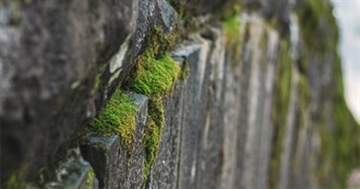 Quin&#39;s Top 55 Movies