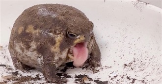 Books That Are Now in &quot;✨Reba&#39;s✨&quot; (&#128580;) Blood