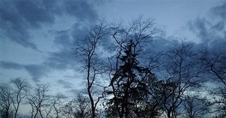 Cheerfully&#39;s Book List!