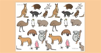 Animals and Insects F Saw This Spring