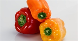 110 Foods With Bell Pepper