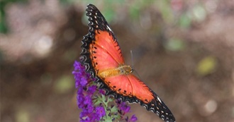 Animals, Nature, and Planetsplanets