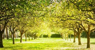 The Guardian: Top 10 Books About Trees