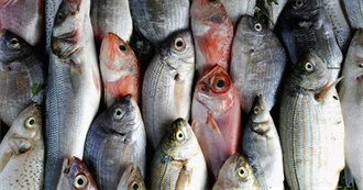 1, 2, 3, 4, 5, Once You Caught a Fish Alive