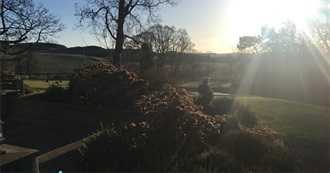 What NG Actually Read in 2017